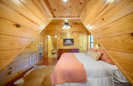 65934 174492 c05C MwtzVddSqgicTfJVdV1iowDUu8ZMWHnGn4PW2o 648b99aa24189.jpg