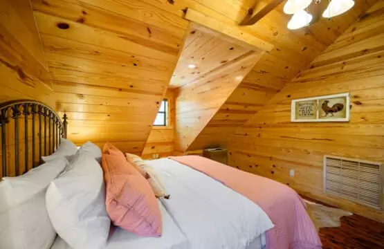 65934 174492 t2Q0KnCLPPxvLBJL 05JlQ7ekXUH3mGJp4iSwZSoSJ8 648b99a7d7e9c.jpg