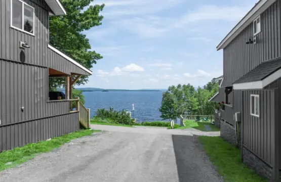 65934 174499 cYy0o7OO6i t2l7BkL2OWslTGlRifI1WzxNZKQvfGHY 64e10329186cc.jpg