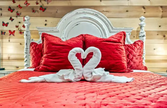 65934 174500 jVtY7a3tlsYo1P6999nyUETwAd09o2Q6le5KagUovYM 670aa84037cd9.jpg