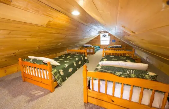 65934 174501 FvxAVjag3hez z5wyxzhR6n4jINQjyShxCCTCR9HWbk 648bb46e17860.jpg