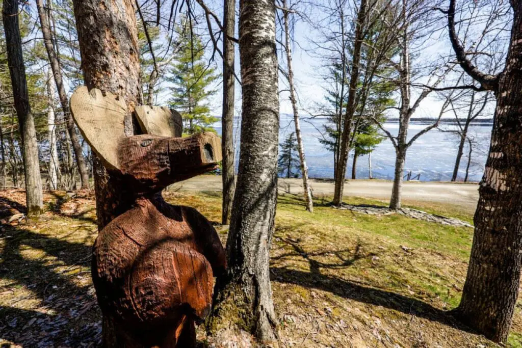 65934 174501 r K7uSBoTwauXtQCaodtdKMGJQ fGyCVKIliYqROg0I 648bb4744c919.jpg