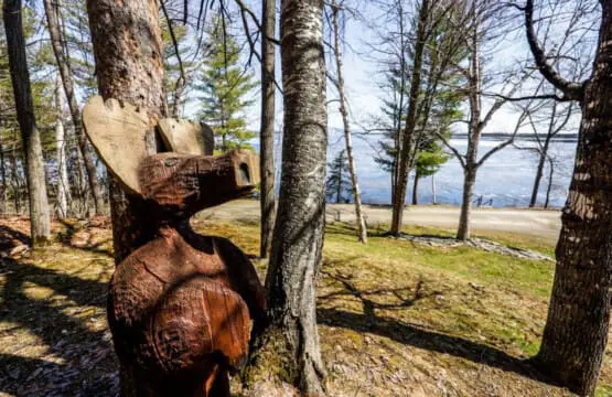 65934 174501 r K7uSBoTwauXtQCaodtdKMGJQ fGyCVKIliYqROg0I 648bb4744c919.jpg