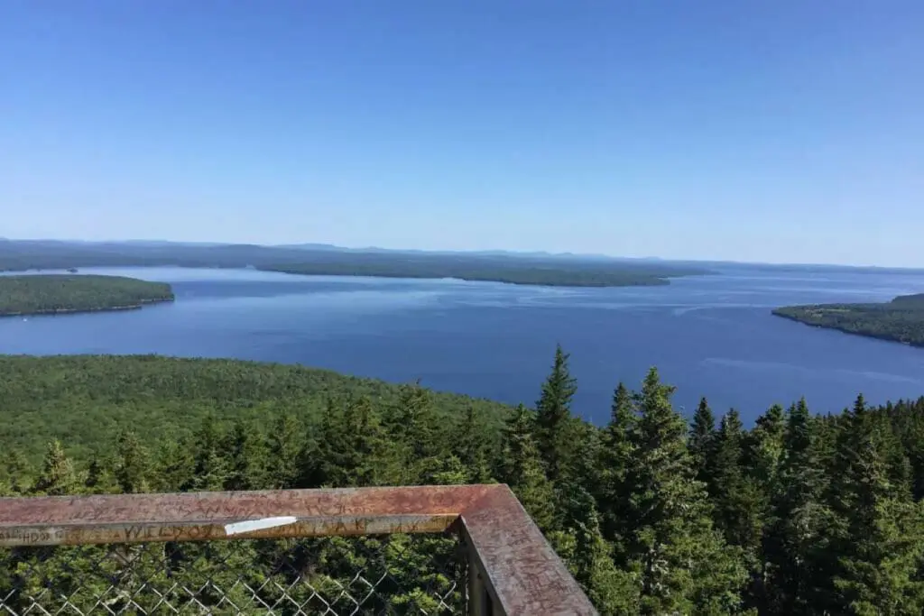 65934 174501 wP4bv zulV1jzk0PkAE8opY4X8evZOhNV5aPa lRDkA 648ba0cf6f9b7.jpg