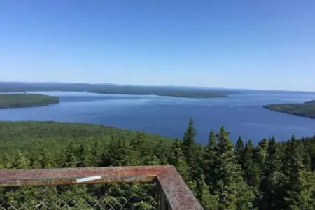 65934 174501 wP4bv zulV1jzk0PkAE8opY4X8evZOhNV5aPa lRDkA 648ba0cf6f9b7.jpg