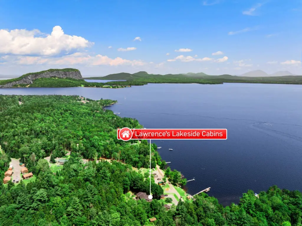 65934 180220 33k2W4mtwVzdEgUOTrW AJljxaDWFLQ4Tx4GdvIFMNk 64e0dc75e4136.jpg