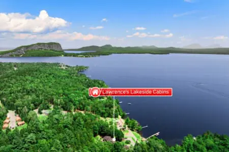 65934 180220 33k2W4mtwVzdEgUOTrW AJljxaDWFLQ4Tx4GdvIFMNk 64e0dc75e4136.jpg