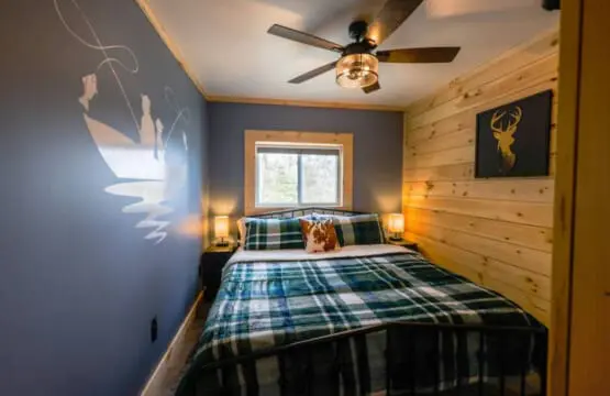 65934 180220 BiC0e4Sm0HQ5UrOmmuPTbb2Z 5mQDzs8QYlKFCnJcio 64a64ad0a089c.jpg