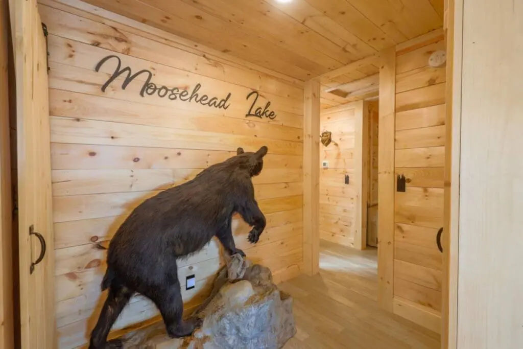 65934 180220 R4m 70js1YwL5wDDzcQRB0CKEMu9y632QIR1sxldk9w 64a64ab7007a2.jpg