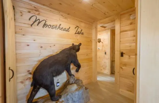 65934 180220 R4m 70js1YwL5wDDzcQRB0CKEMu9y632QIR1sxldk9w 64a64ab7007a2.jpg