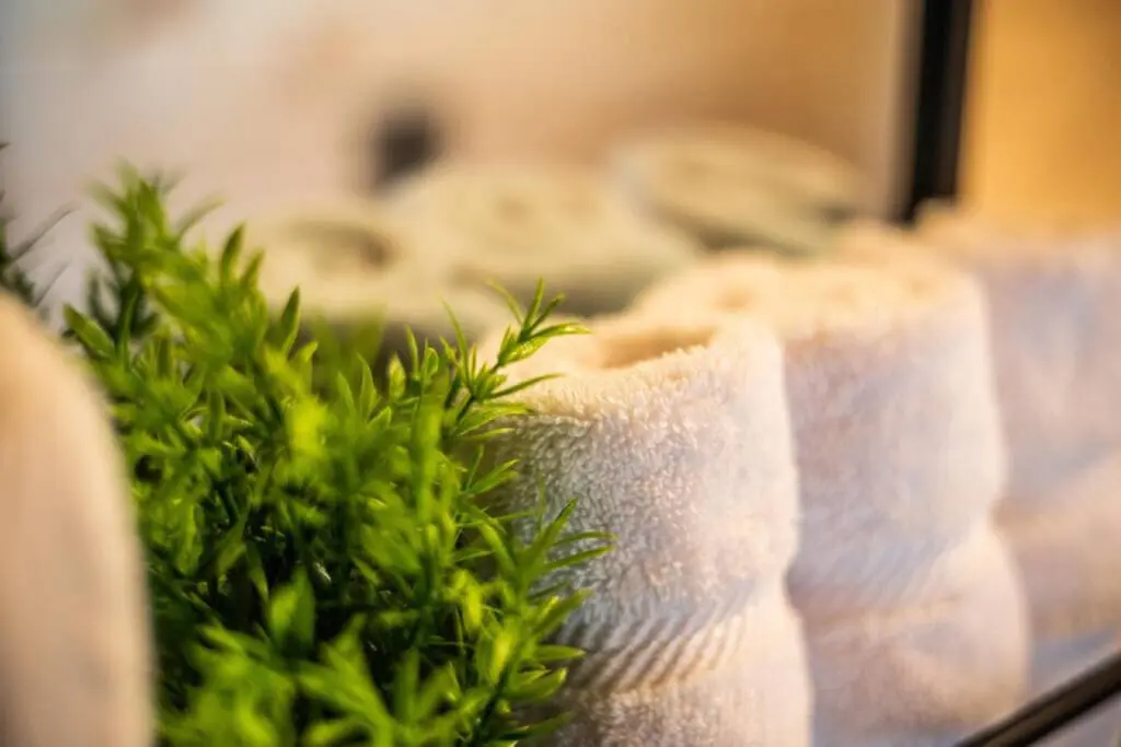 65934 180220 b b7jcMUV51mSKyqea0Vu21zQg32IfO xt7KwyfF2QE 64a64abce4ac1.jpg