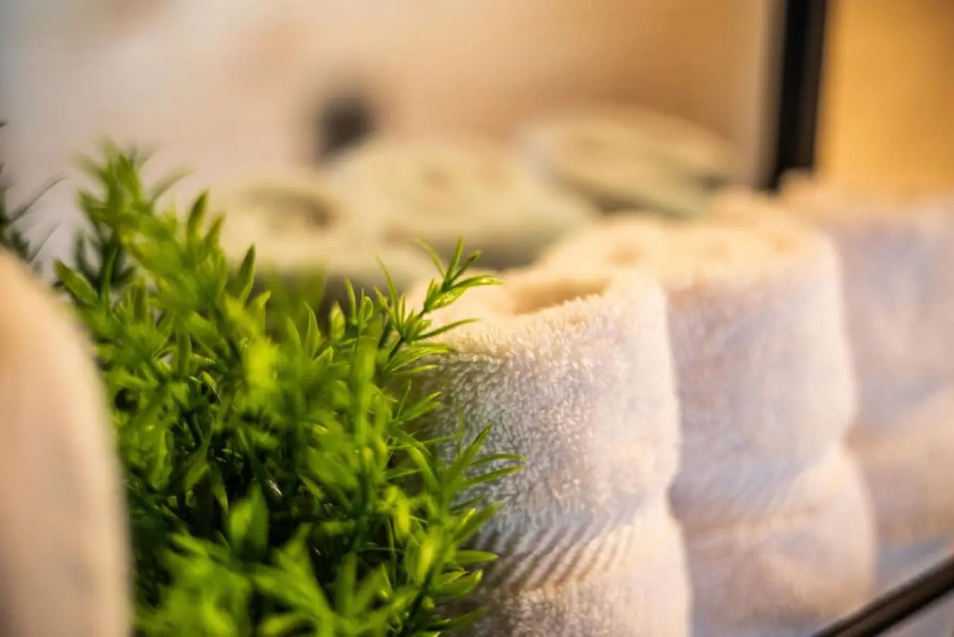 65934 180220 b b7jcMUV51mSKyqea0Vu21zQg32IfO xt7KwyfF2QE 64a64abce4ac1.jpg