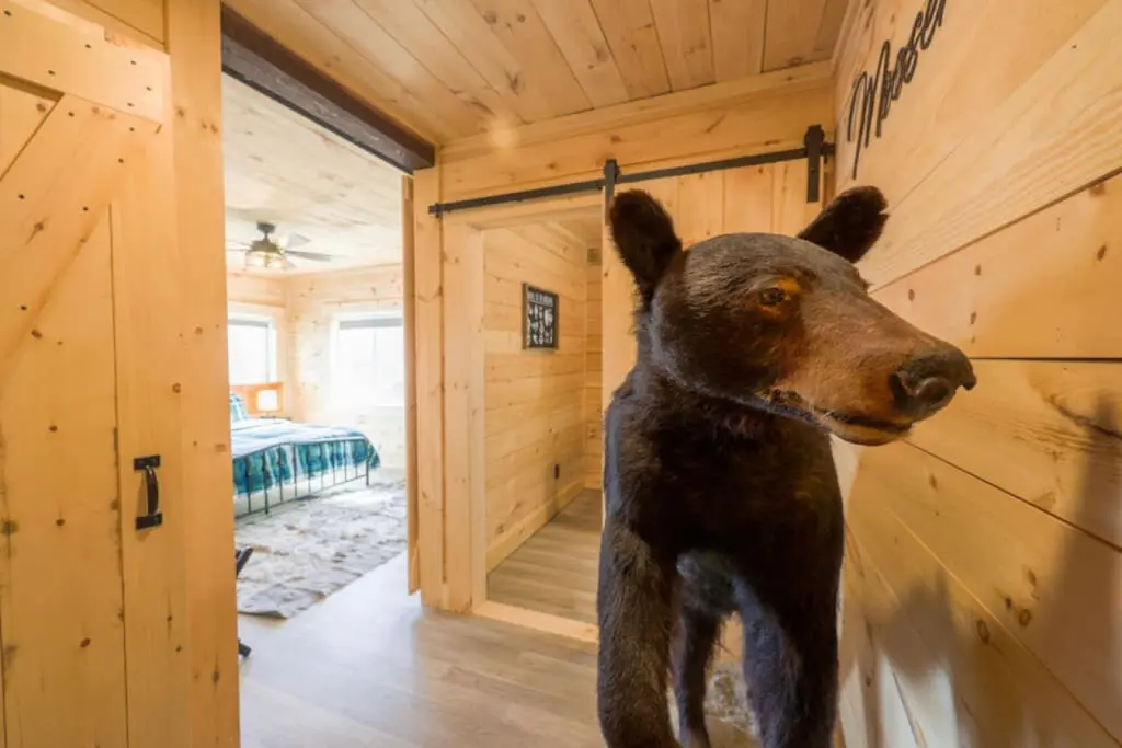 65934 180220 c0jC5u6MUw7yvyyLMd 8WkerMTCNsHus1nXpQXbCKTo 64a66588de934.jpg