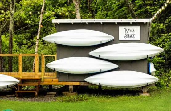 65934 180220 iFtylK9UuWT6xMvTqlcqTQLgNen5ZPmZ5ooAtO2y ZI 64a64a65c0c87.jpg