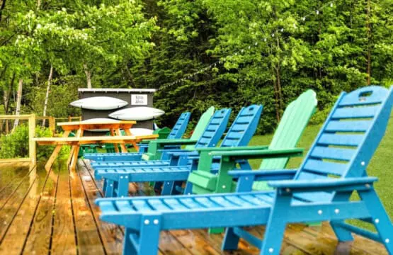 65934 180220 nZkvzCXJIVT61YsOlnUlOR3vQNmsAmN8Tf1UmoRZU7M 64a64a629e5d7.jpg