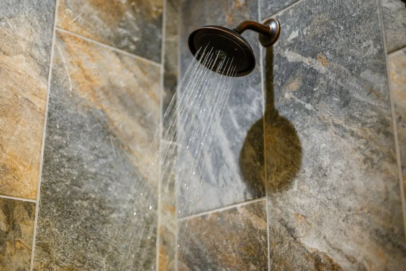 65934 203613 066jIr9aSwnyK5GuIjTYrRjv 3vJ14N8xDNB3jEAVYY 652b399a18440.jpg