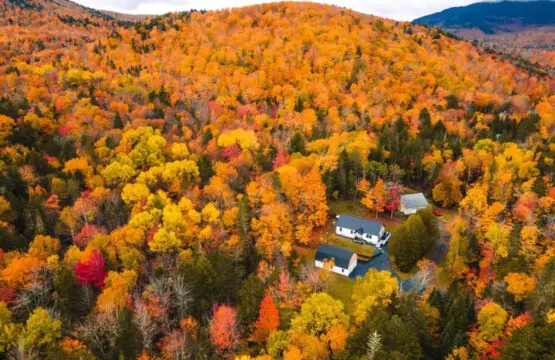 65934 205692 Ctc09qr3Ih9Wk5GXmBIH 1sklyNJrN 9IcoyAcaHwyY 653324d130a5d.jpg