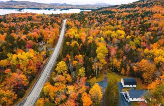 65934 205692 GUEd3MRLtaYZ4rjYU4z DpuY1M2TqR0DXqmRMrukmk8 6533246213f9e.jpg