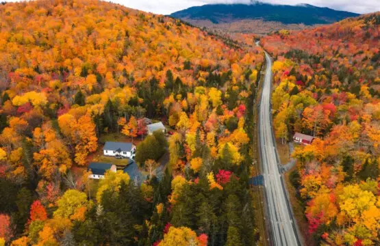 65934 205692 dBbn5u xC0Z1Jzaem 971JM182CXxmOppQb57lFnWSc 653324d527ca7.jpg