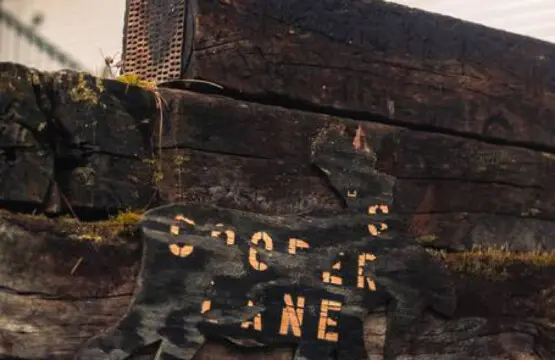 65934 205692 zTeUJw09OKRJom2RxCddn 3zOXFFPQ5XicNcx1G5fJ8 653324a918f0a.jpg