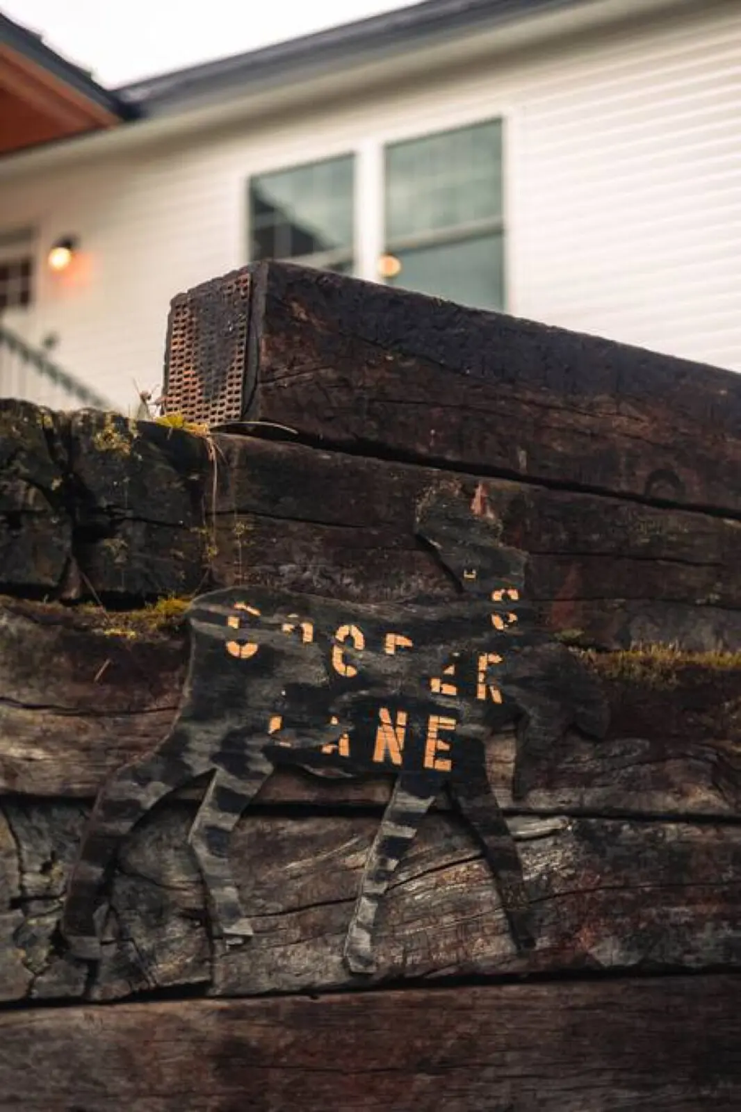 65934 205692 zTeUJw09OKRJom2RxCddn 3zOXFFPQ5XicNcx1G5fJ8 653324a918f0a.jpg