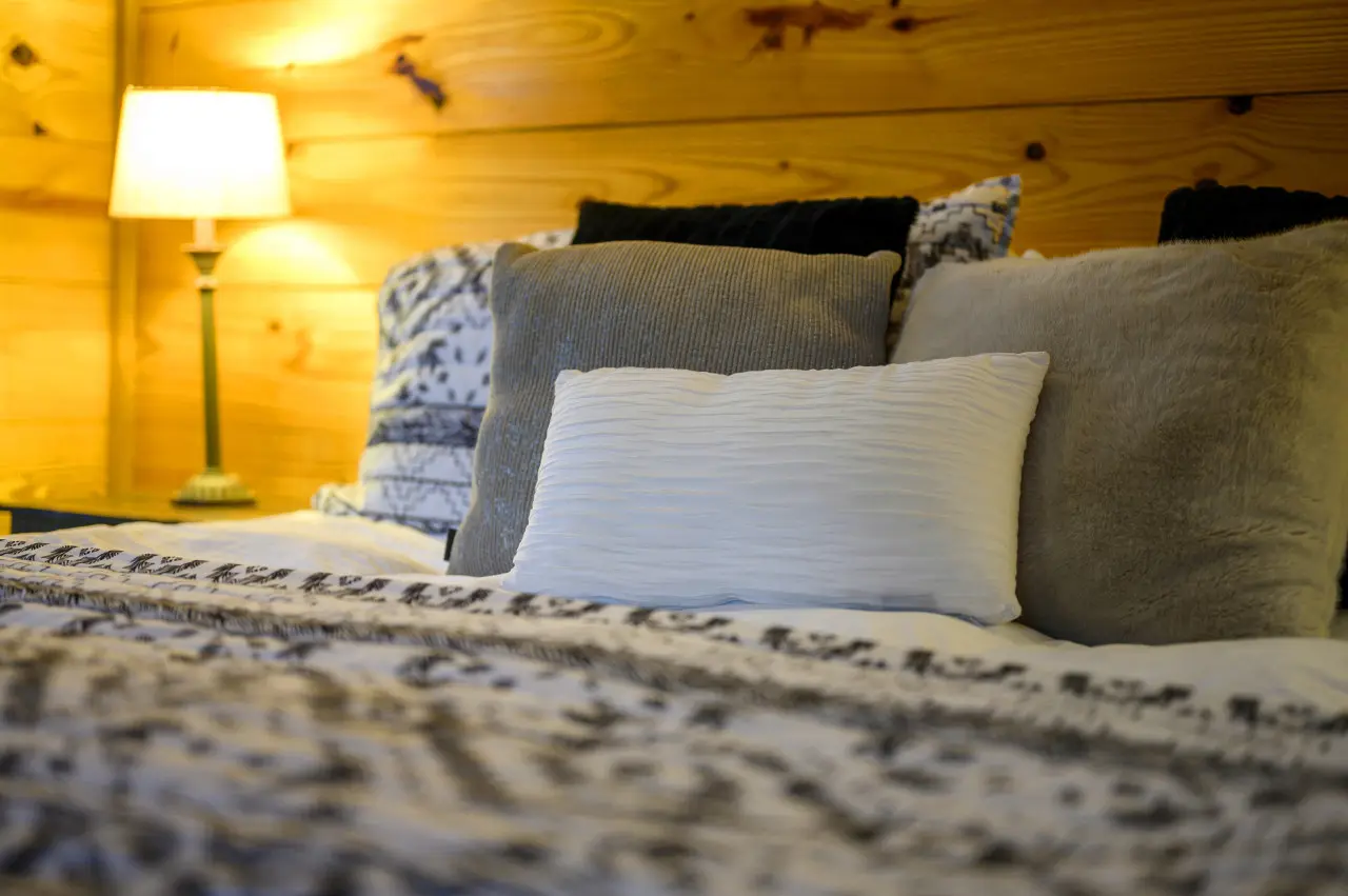 65934 209314 iz1CuNfP98qkq40P mzF3V3jTnW0XwlROc9uXnD 8sA 654cf918159d8.jpg