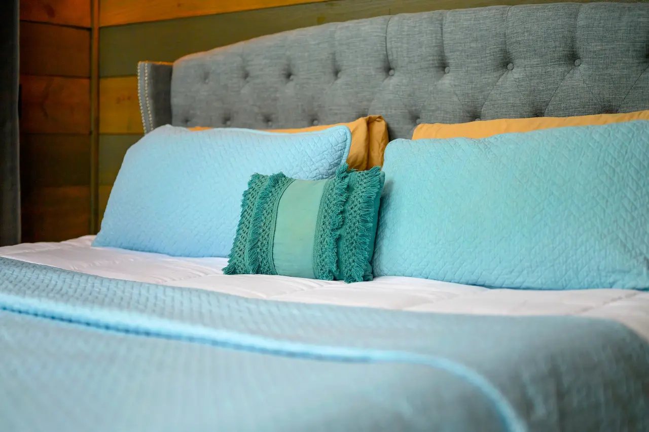 65934 230897 PLRaLiUXHBtODHiUXfnCTOKk7QGsTAdiGd83JJyVA9A 65b714aa3e732.jpg