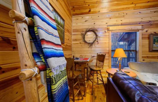 65934 237969 3e36SQ39l jsqM6Bnbiz9Q4oAtHfJVcDcxLun1aZ9po 65bd979e8a858.jpg