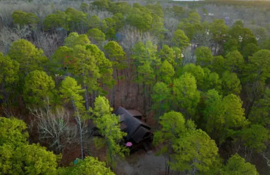 65934 237969 gKSlx6RkEfEjynkmprETJsQeWUstpdD0v4rhI7 EWdY 65bd9775a401c.jpg