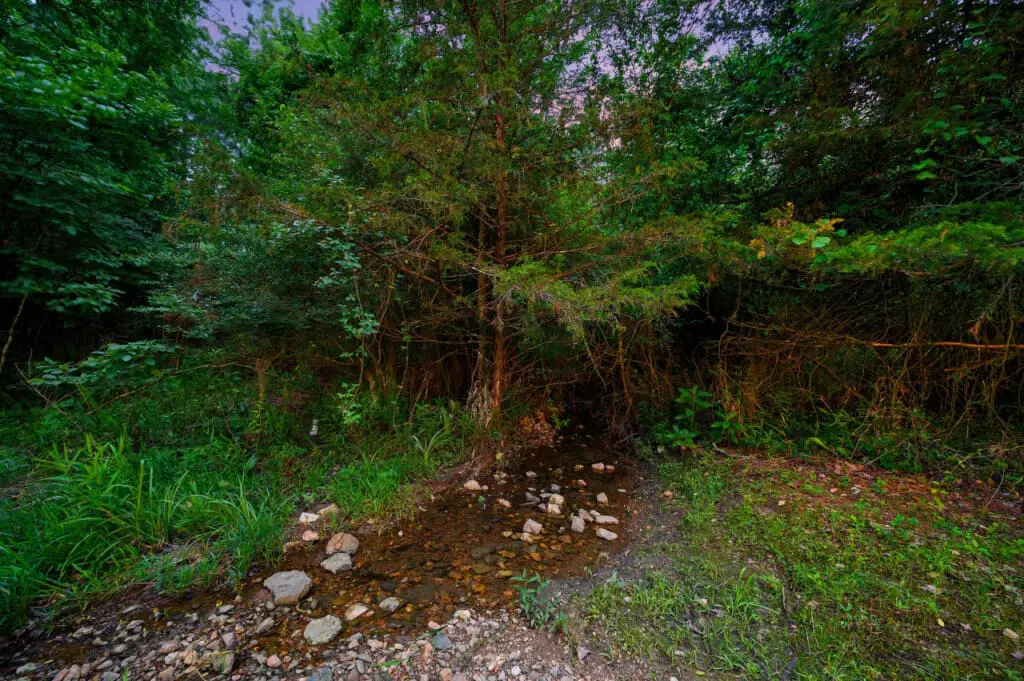 65934 264846 PtfqUJv9FqCKRWS P195jALKgHqbtASXohjTQhoO0Q8 666baae940c49.jpg