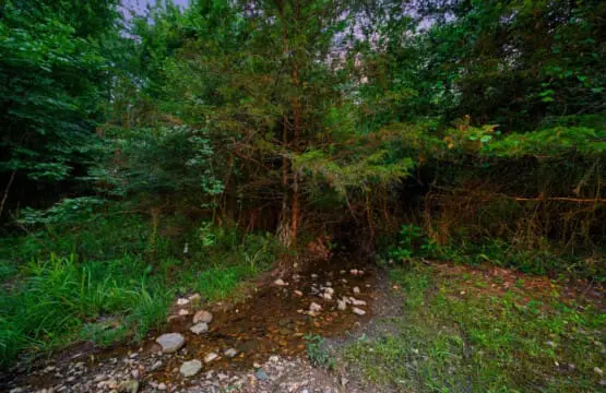 65934 264846 PtfqUJv9FqCKRWS P195jALKgHqbtASXohjTQhoO0Q8 666baae940c49.jpg