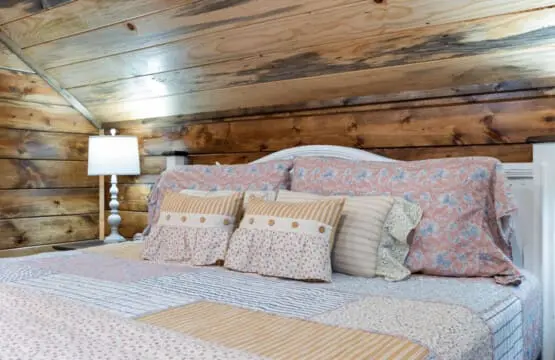 65934 309885 Lln9zLP8YtelGwXKjVSAMCfzYWzMVhl7nHz5OzVpDrE 66eb8d3ce2319.jpg