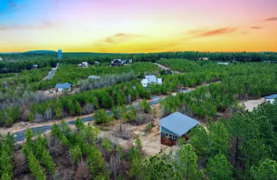 From up here, you can see your whole private world—tree-lined roads, scattered cabins, that blue water tower in the distance—and somehow it all feels like it belongs to you.