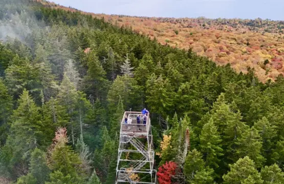 65934 174499 9XyhqARnhk452iVNUduedp3eslWDc2F1NF hQVtsiTk 68ee890757c0d.jpg