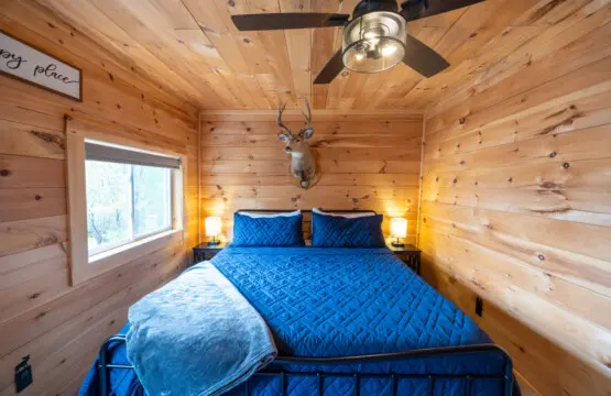 65934 174499 AGVbPHEHmnD2UHVTG8TTn5LcqlK Y9LdbHyvH7Nlvfk 68ee883c06a87.jpg