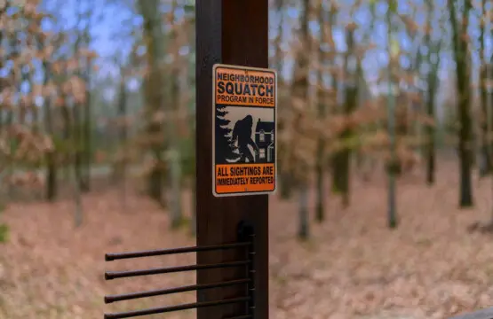 65934 445614 CkZgCrL9V7TVHyirizGq5egqA0GyFhy22PJZtEk i3U 68f970db1d2ee.jpg