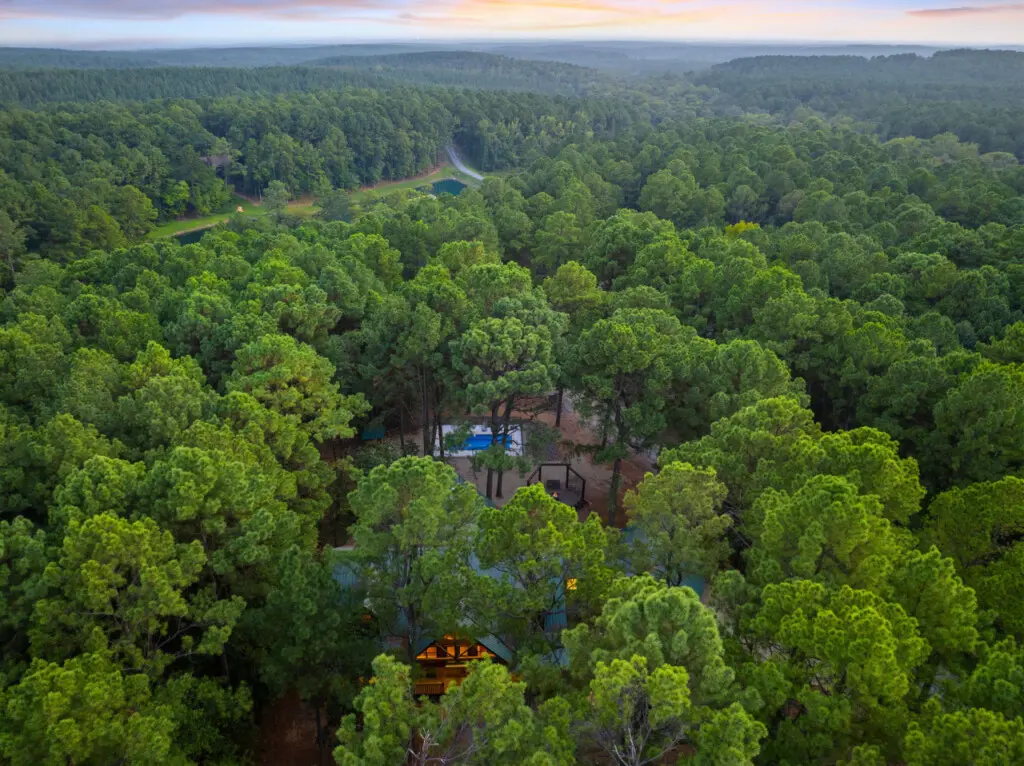 65934 174492 khGzF0cD5YuiDOrDdSgzuf17 Iyu8xlv5D7mc0rEtxs 68cb4150cdee3.jpg