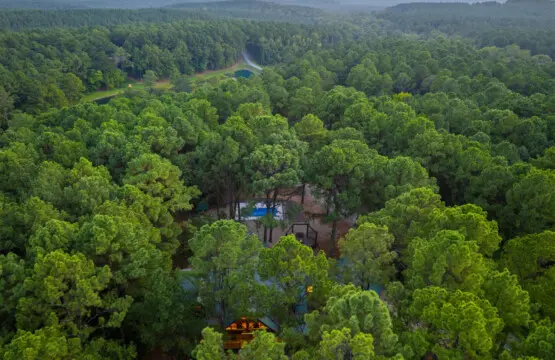 65934 174492 khGzF0cD5YuiDOrDdSgzuf17 Iyu8xlv5D7mc0rEtxs 68cb4150cdee3.jpg