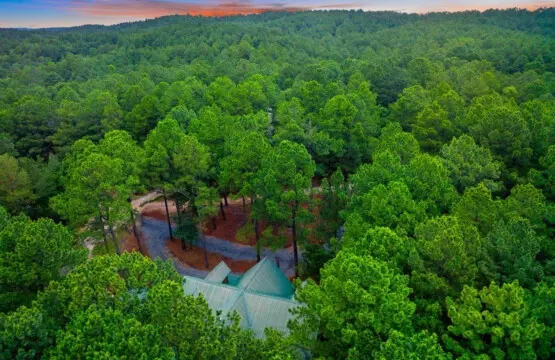 65934 174492 mW2RtKVP xR1CevWTVPq CRM E31q soWiy47WhyREs 6838bef6dff77.jpg