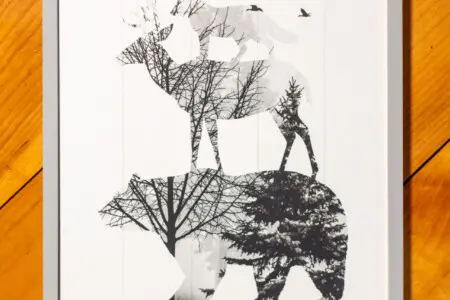 65934 174493 qFfvcuXlyXUhkx9dAJdqbdQG qzLa1cUaz7bWB6PQEQ 68ee813c21e8c.jpg