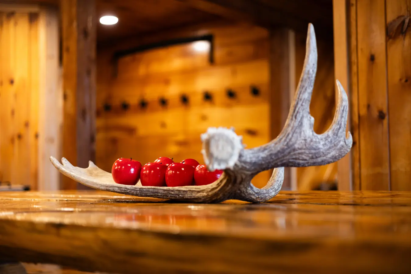 65934 174497 0SUA8y6OquLgGsxH4nDqZPrqA4XKEEiYuksxjCpf5 E 68edd2a98b023.jpg