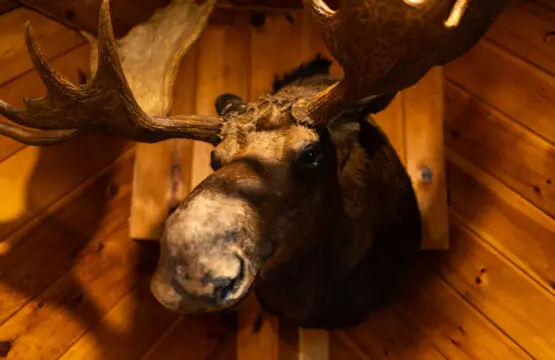 65934 174497 HjAmC4x4ML1lZ6SYpPKtq0khqknprlxFVsfImnSDEBw 68edd2df637a6.jpg