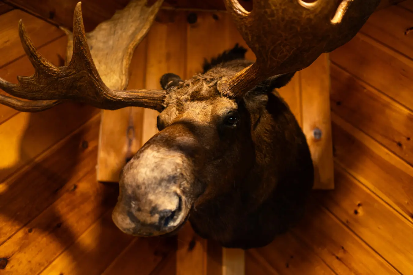 65934 174497 HjAmC4x4ML1lZ6SYpPKtq0khqknprlxFVsfImnSDEBw 68edd2df637a6.jpg