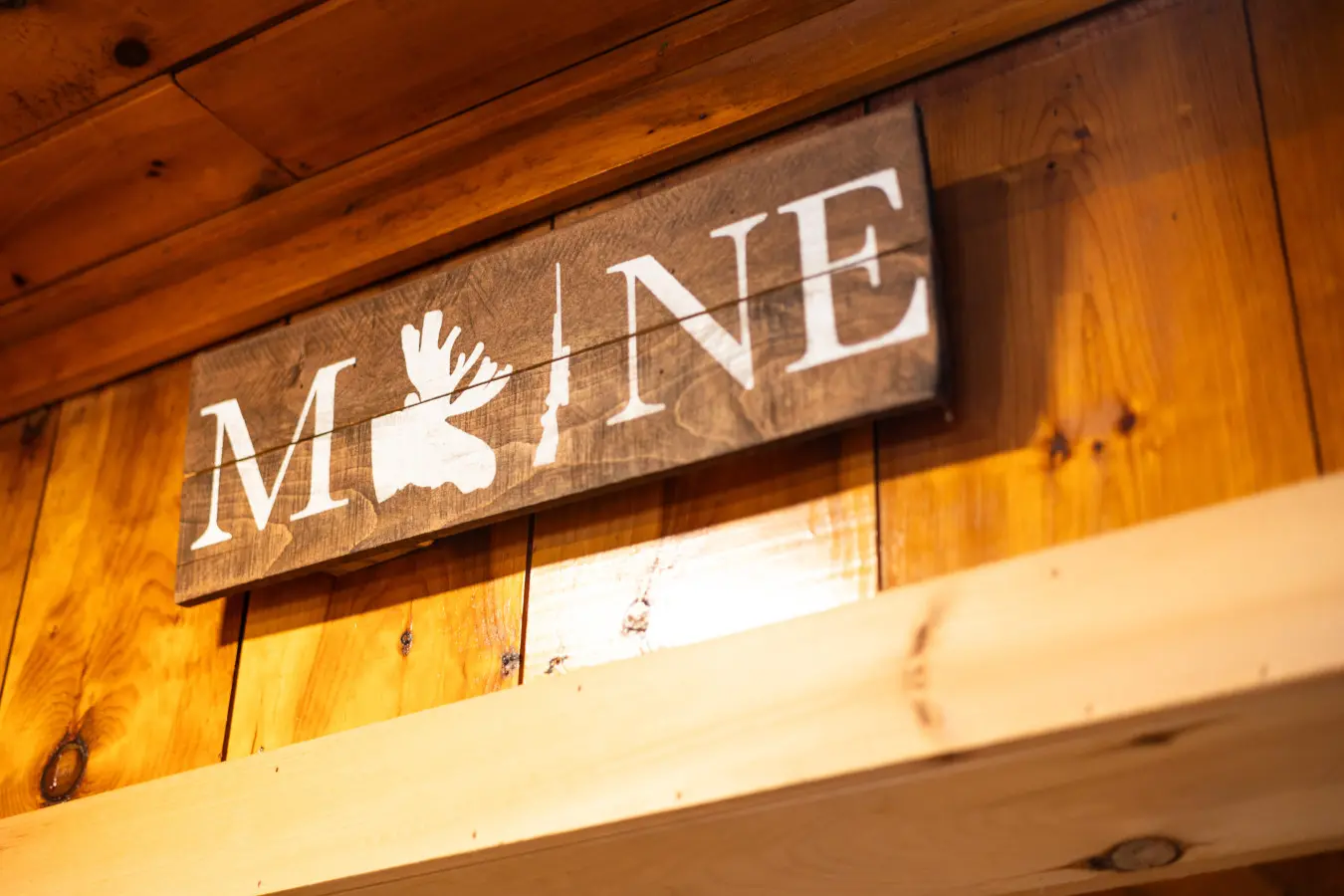 65934 174497 KIFEVwWUj1A2xnyJ7s3tYv8kOMBnLv7my85duQO1UT4 68edd2f9cbd10.jpg