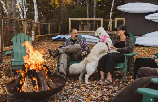 65934 174497 KyEMva5NaJvccC 7OGItFF 33Dwq8Spi74pfiQbglpE 68edd6b5d1bdb.jpg