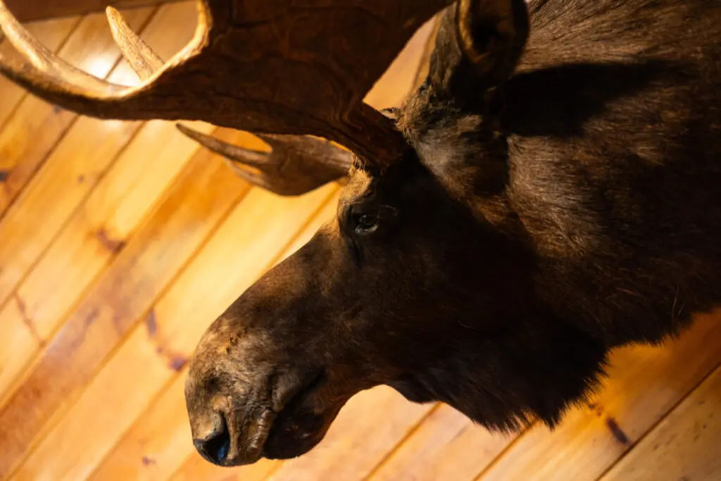 65934 174497 MLtUIsXJ3fOIAHC 39glvnWy wyomDYmLm9sTSgSxqc 68edd156150e6.jpg