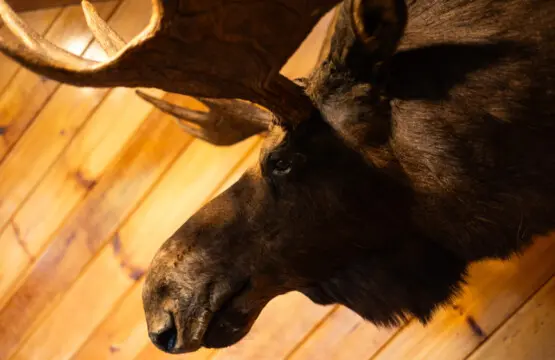 65934 174497 MLtUIsXJ3fOIAHC 39glvnWy wyomDYmLm9sTSgSxqc 68edd156150e6.jpg