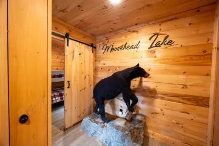 65934 174497 VUH7VOXuaD0H EBr19R6Icemm5uzoabs W57GmVD1Ro 68edcfb9078d5.jpg