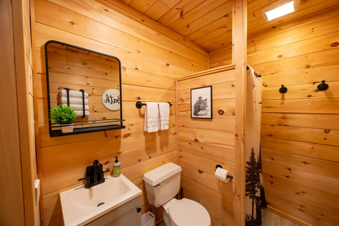 65934 174497 d9dnrSzw TgPRSVc1jP2ne3zp8eZqCzneDeF6vZTf s 68edcf8e6a5fa.jpg