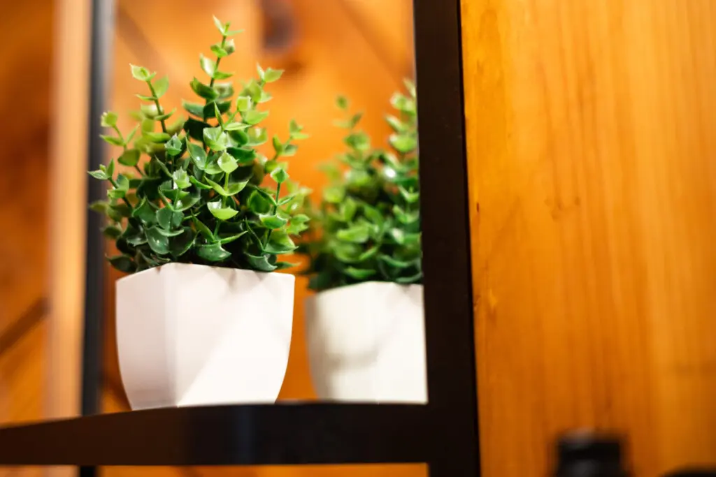 65934 174497 ssySIUe7rWGZ50SJzhW5o 8nw2Nb2EzifgX2TAs0vHM 68edd227cd5f1.jpg